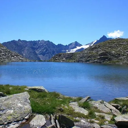 Forest Hyacinth Riding Stable Alpin * Umhausen