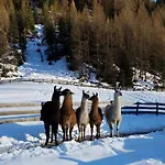 Forest Hyacinth Riding Stable Alpin 펜션 *