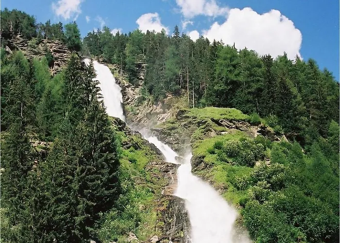 Forest Hyacinth Riding Stable Alpin
