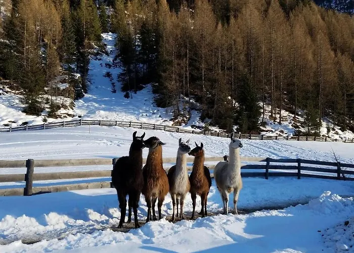 Forest Hyacinth Riding Stable Alpin Casa vacanze *