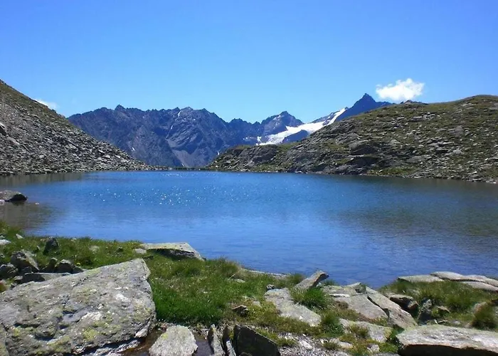 Forest Hyacinth Riding Stable Alpin * Umhausen